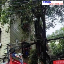 #长沙#,#扫街# 千万不要被那些偷拍狗给坏事了